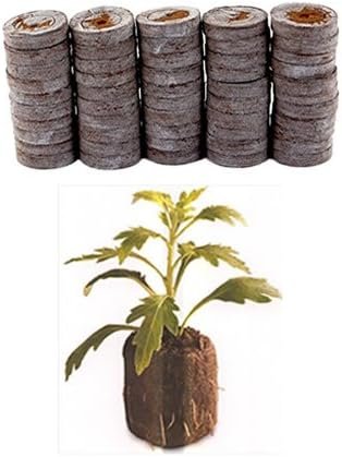 50 Count - Jiffy 7 Peat Pellets - Seed Starter Soil Plugs - 36 mm - Start Seedlings Indoors - Easy to Transplant to Garden