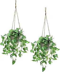 TNNTOPELE Fake Hanging Plants with Pots, 2 Pack Artificial Faux Anthurium Leaf Hanging Basket Plant for Wall Home Room Indoor Outdoor Decor