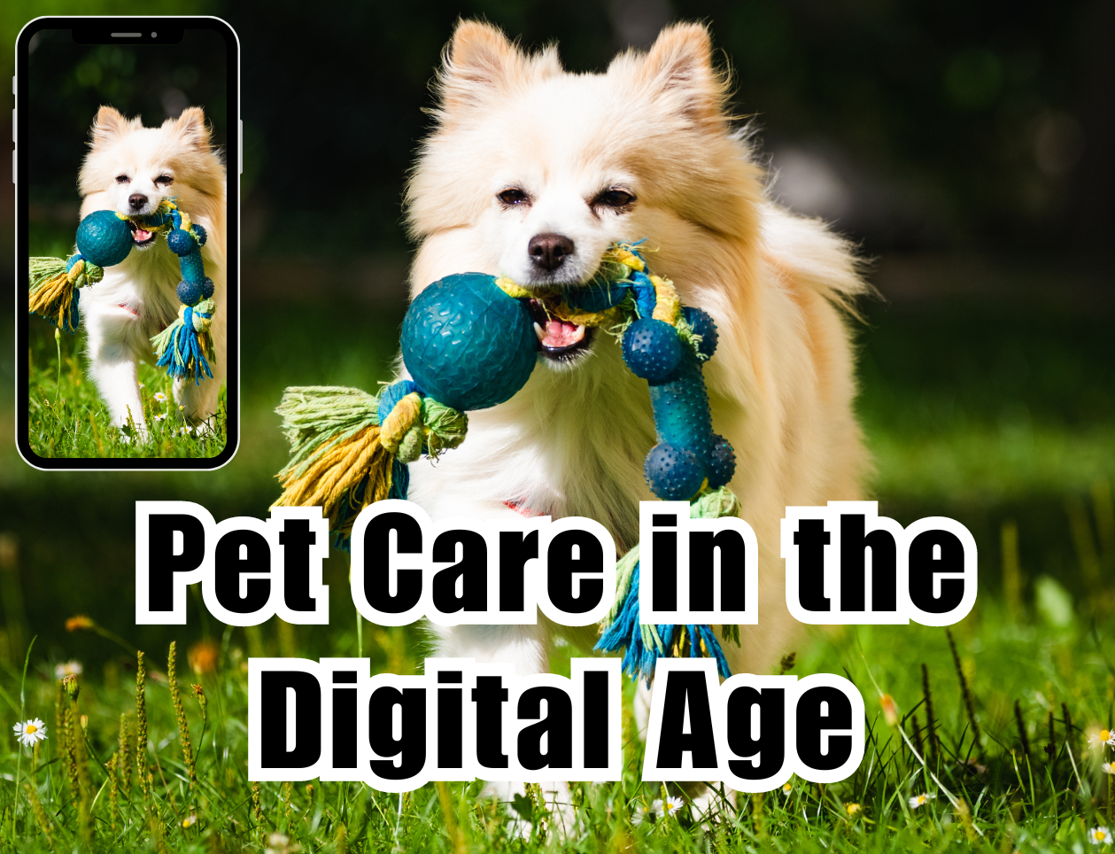 Pet Technology: Innovations Revolutionizing Pet Care in the Digital Age